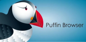 Puffin Browser for PC – Windows 7/8/10 and Mac [ Download Free ]