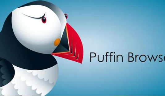 Puffin Browser for PC
