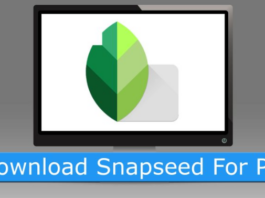 Snapseed for PC