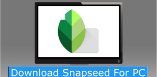 Snapseed for PC