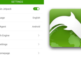 Dolphin Browser for PC