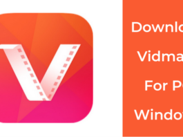 Vidmate for PC