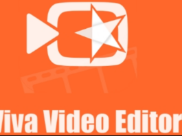 Viva Video for PC