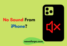 No Sound From iPhone