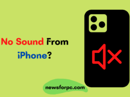 No Sound From iPhone